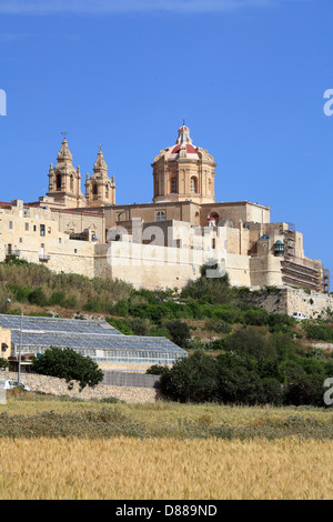 Malta, Mdina, St. Pauls Cathedral, Stockfoto