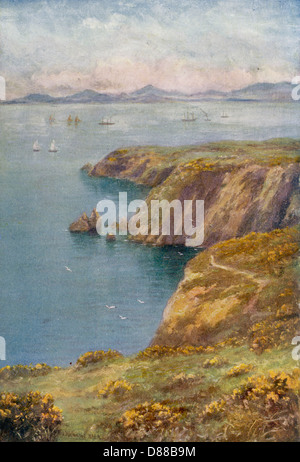 DUBLIN BAY/HOWTH CLIFFS Stockfoto