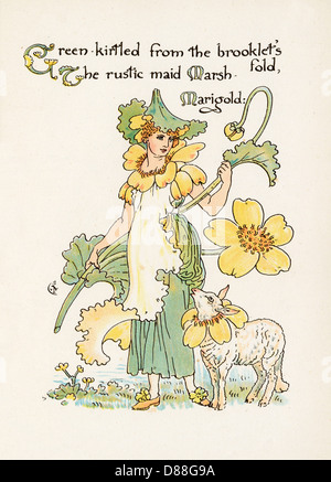 Marsh Marigold Stockfoto