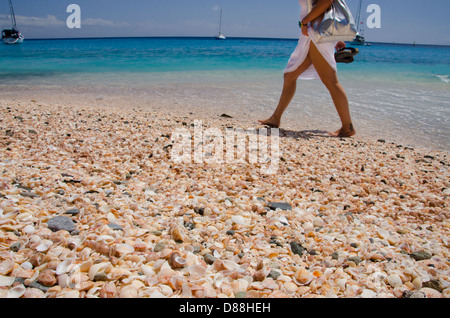 Französische Antillen, Karibik Insel Saint Barthelemy (aka St. Barts). Hauptstadt Stadt Gustavia, Shell Beach. Stockfoto