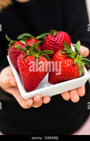 Nahaufnahme von vier großen frischen Erdbeeren in weiße Schale in Händen des jungen Kindes statt Stockfoto