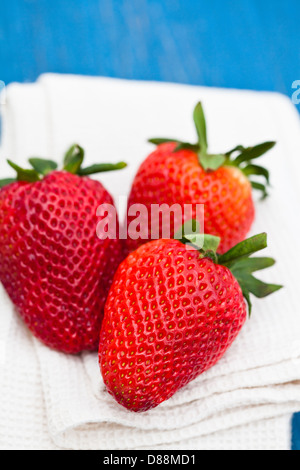 Nahaufnahme von drei großen frischen Erdbeeren ruht auf dem weißen Tuch gegen hölzerne hellblauen Hintergrund Stockfoto