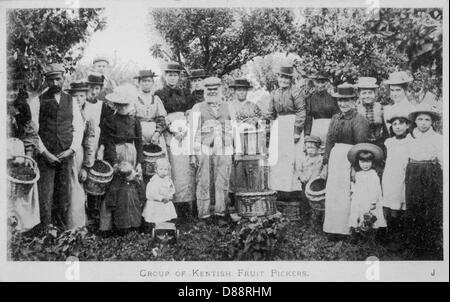 HOPFENPFLÜCKER 1905 Stockfoto