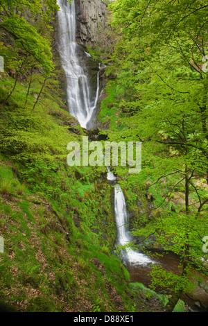 Pistyll Rhaeadr Wasserfälle Nr. Llanrhaeadr Ym Mochnant Welshpool Powys Wales Stockfoto