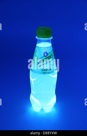 Kleine Marke Schweppes transparent Tonikum Wasserflasche im ultravioletten UV-Licht ist fluoreszierend. Stockfoto