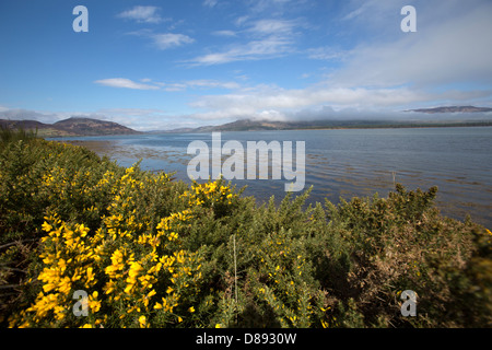 Loch-Flotte, Schottland. Loch-Flotte mit Wolke bedeckt Balblair Wood, Mound Rock, Silver Rock und Prinzessin Cairn im Hintergrund. Stockfoto