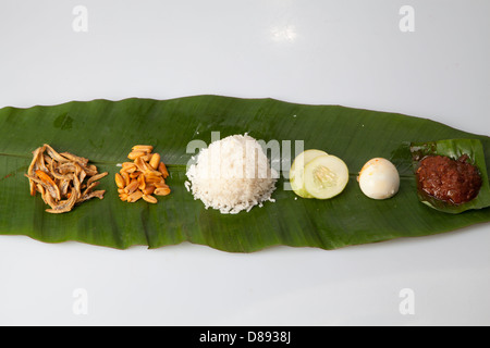 Nasi Lemak 01 Stockfoto