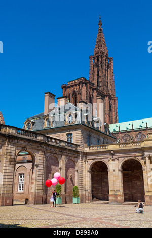 Fotografischen Sitzung von einem ausländischen Bräutigam heiraten in Straßburg, Elsass, Frankreich Stockfoto