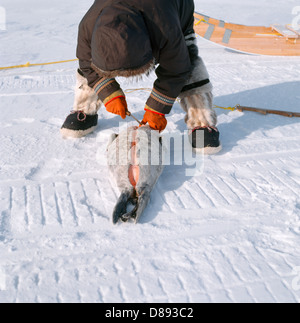 NWT Kanada Jäger mit Dichtung töten enthäuten Dichtung Stockfoto