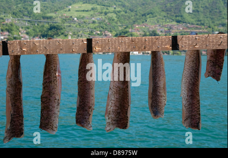 Fische Trocknen auf Rack, Monte Isola, Lago d ' Iseo, Lombardei, Italien Stockfoto