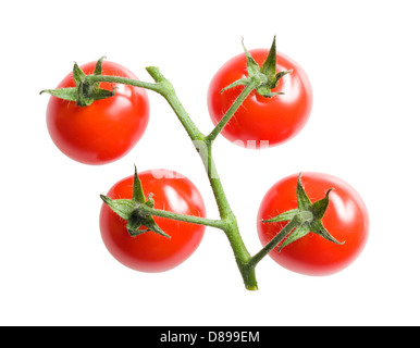 Cherry-Tomaten. Stockfoto