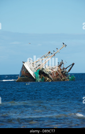 Schottisches Fischerboot Sovereign BF380 das lief nach dem Aufstehen in Schwierigkeiten auf Cairnbulg Felsen am 18. Dezember 2005 Stockfoto