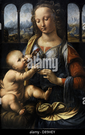 Leonardo da Vinci (1452 – 1519). Italienischen Renaissance Universalgelehrter. Die Madonna der Gartennelke. 1478-1480. Alte Pinakothek. München. Stockfoto