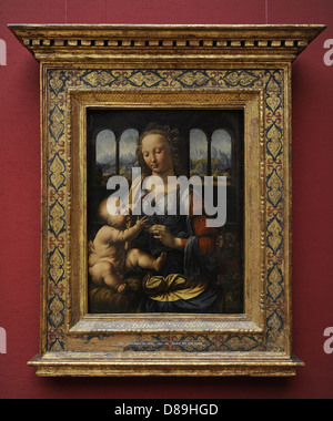 Leonardo da Vinci (1452 – 1519). Italienischen Renaissance Universalgelehrter. Die Madonna der Gartennelke. 1478-1480. Alte Pinakothek. München. Stockfoto