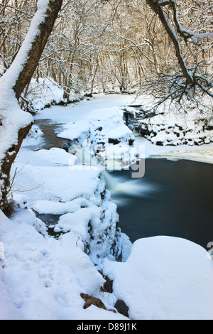Neddfechan Fluss auf eines kalten Winters Tag Brecon Beacons National Park Powys Wales Stockfoto