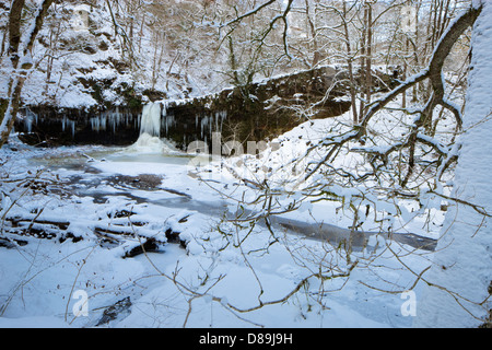 Gefrorene Sgwd Gwladys oder Dame verliebt sich Vorhang von Eiszapfen Afon Pyrddin in der Nähe von Pontneddfechan Brecon Beacons Powys Wales Stockfoto