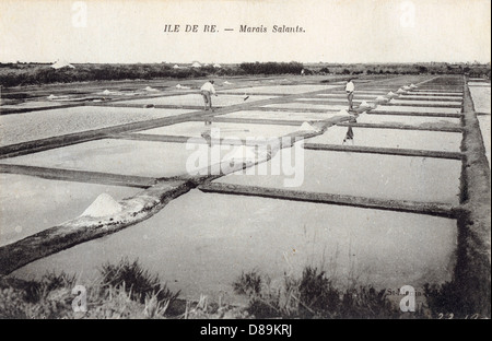 SALT ON ILE DE RE Stockfoto