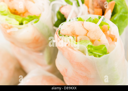 Goi Cuon - vietnamesische frische Sommer Brötchen gefüllt mit Garnelen, Schweinefleisch, Kräutern, Reisnudeln und Gemüse. Stockfoto