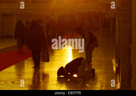 Indien, Punjab, Amritsar, Goldener Tempel Silhouette des männlichen beten am Eingang bei Sonnenaufgang Stockfoto