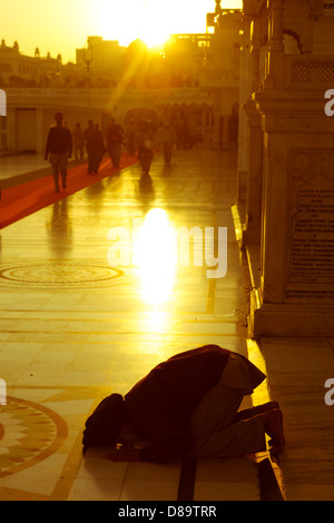 Indien, Punjab, Amritsar, Goldener Tempel, Sikh Mann, der betet am Eingang zum Tempel bei Sonnenaufgang Stockfoto