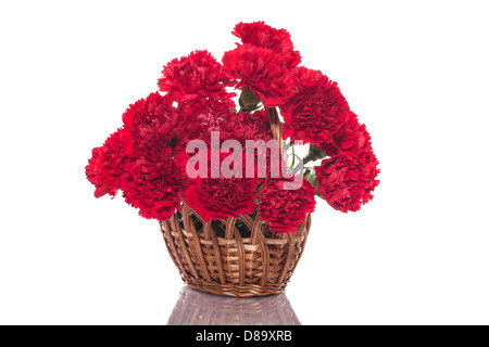 Strauß roter Rosen auf weißem Hintergrund Stockfoto