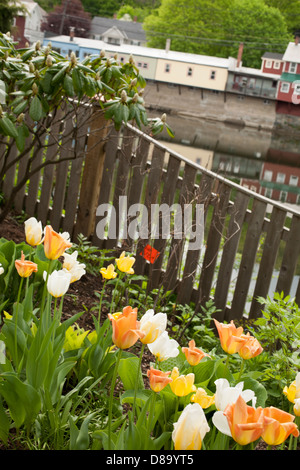 Gesehen von der Brücke der Blumen, blicken die Rückseite einer Reihe von Geschäften in Buckland, MA auf die Deerfield River. Stockfoto