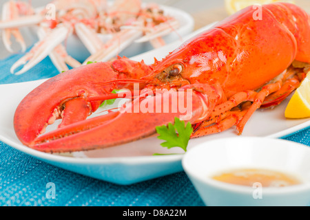 Hummer mit brauner Butter und Zitronenspalten. Scampi im Hintergrund. Stockfoto