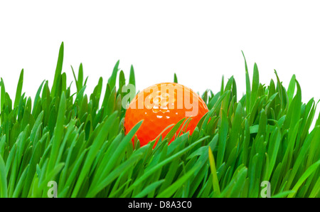 Orange Golfball in der lange Wiese, Closeup auf weißem Hintergrund Stockfoto