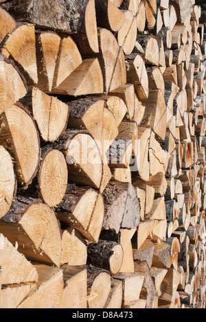 Trocknen von Brennholz, warten darauf, im Winter verwendet werden Stockfoto