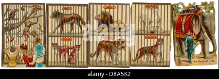 Wilde Tiere - Zoo Stockfoto