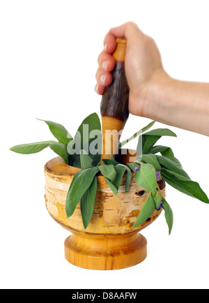 Heilende Kräuter und essbare Blumen mit Mörser und Stößel Stockfoto