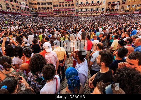 Masse von Menschen, die während der Palio di Siena, Piazza del Campo, Siena, Toskana, Italien Stockfoto