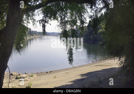 Willamette River Lake Oswego Oregon, Bewässerung, Fluss, Lachs, Forelle, Clackamas, Willamette River Nebenfluss des Columbia River Stockfoto