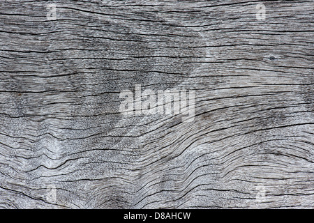 Verwitterter Baumstamm Holzmaserung Stockfoto