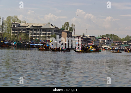 Familien, die Entspannung in mehreren Shikaras im Dal-See in Srinagar, Kaschmir, Indien, mit Gebäuden am Ufer des Sees Stockfoto