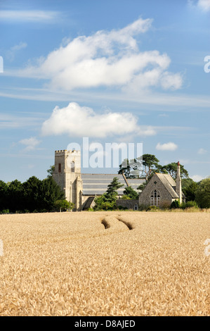 Str. Mary die Jungfrau Pfarrkirche über Reife Gerstenfeld im Dorf Gunthorpe, in der Nähe von Cromer, Norfolk, England. Sommer Stockfoto