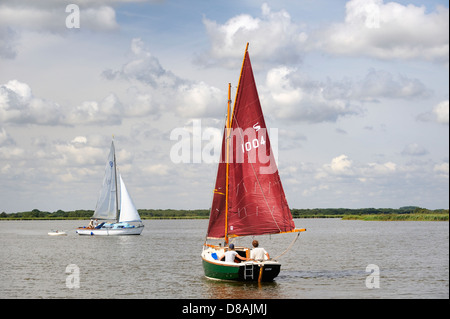 Sportboote auf Horsey Mere, eines der Norfolk Broads, Norfolk England Segeln Stockfoto