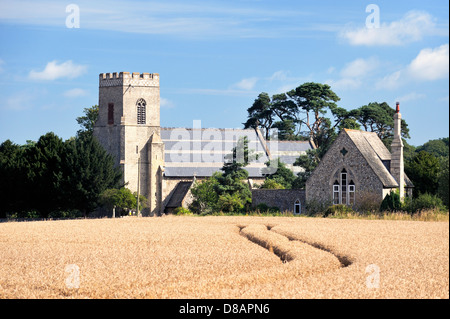 Str. Mary die Jungfrau Pfarrkirche über Reife Gerstenfeld im Dorf Gunthorpe, in der Nähe von Cromer, Norfolk, England. Sommer Stockfoto