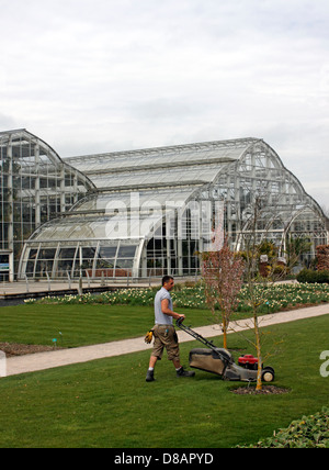 RASEN SCHNEIDEN BEI RHS WISLEY IM FRÜHJAHR. Stockfoto