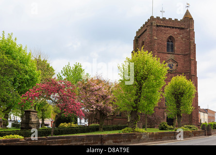 14. jahrhundert Norman Pfarrkirche St. Nikolaus in rotem Sandstein mit Uhrturm dating bis 1309 in Newport Shropshire West Midlands England Großbritannien Stockfoto