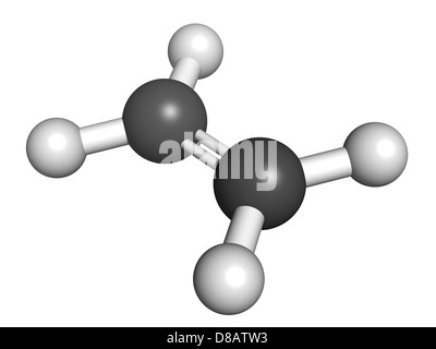 Pflanzenhormon Ethylen (Ethen) und Polyethylen (PE) Baustein, Molekülmodell. Stockfoto