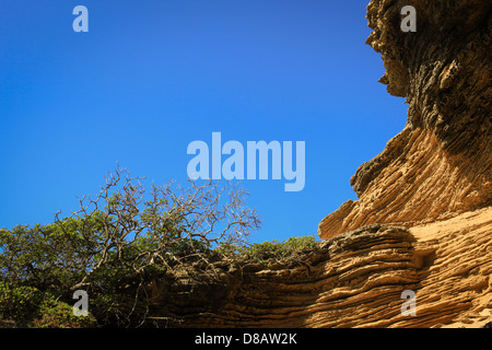 Felsformation, hinteren Strand, Portsea, Australien Stockfoto