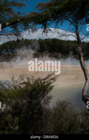 Wai-O-Tapu Thermalbereich ist eine hochaktive geothermische Gebiet mit vielen eingestürzten Krater, warme und kalte Becken in Neuseeland Stockfoto