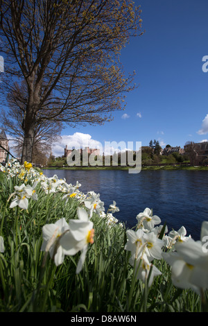 Stadt von Inverness, Schottland. Frühling auf der River Ness Uferpromenade mit Stirling Castle im Hintergrund. Stockfoto