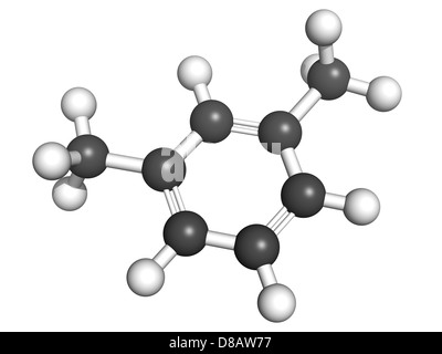 Xylol (Meta-Xylol, Xylol) aromatischer Kohlenwasserstoffe, Molekülmodell. Atome werden als Kugeln dargestellt. Stockfoto