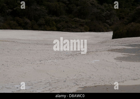 Wai-O-Tapu Thermalbereich ist eine hochaktive geothermische Gebiet mit vielen eingestürzten Krater, warme und kalte Becken in Neuseeland Stockfoto