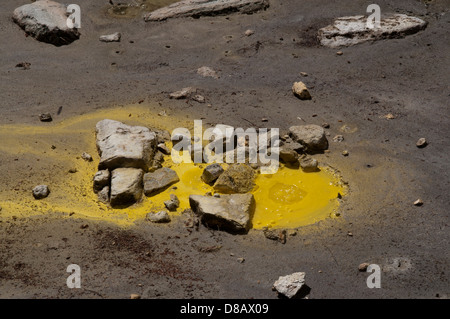 Wai-O-Tapu Thermalbereich ist eine hochaktive geothermische Gebiet mit vielen eingestürzten Krater, warme und kalte Becken in Neuseeland Stockfoto