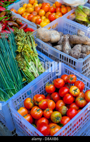 Frisches Obst und Gemüse auf den asiatischen Markt Stockfoto