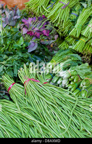 Spatz Rasen am asiatischen Markt Stockfoto