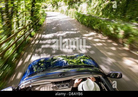 Verdeck Jaguar XK8 Fahrt durch bewaldete Straßen mit der Spitze nach unten. Stockfoto